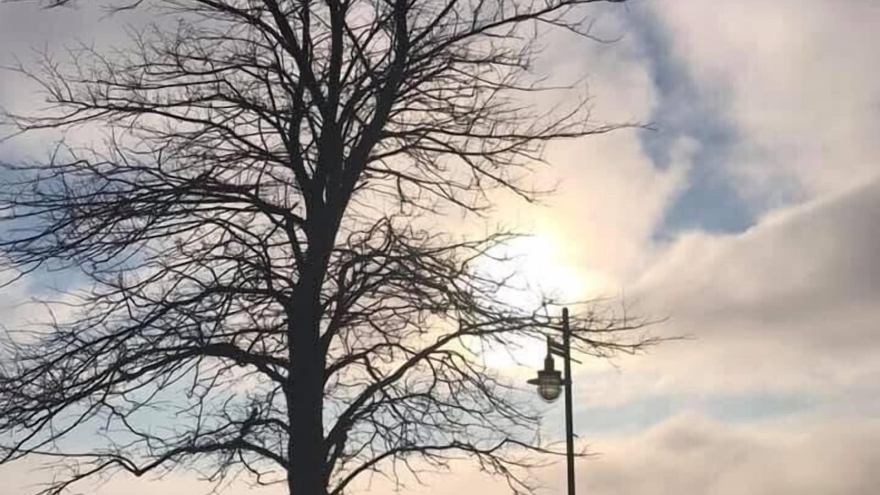 Photo of Others in Sydney