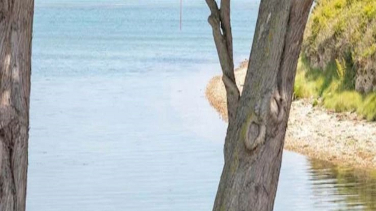 Photo of Others in Hayling Island