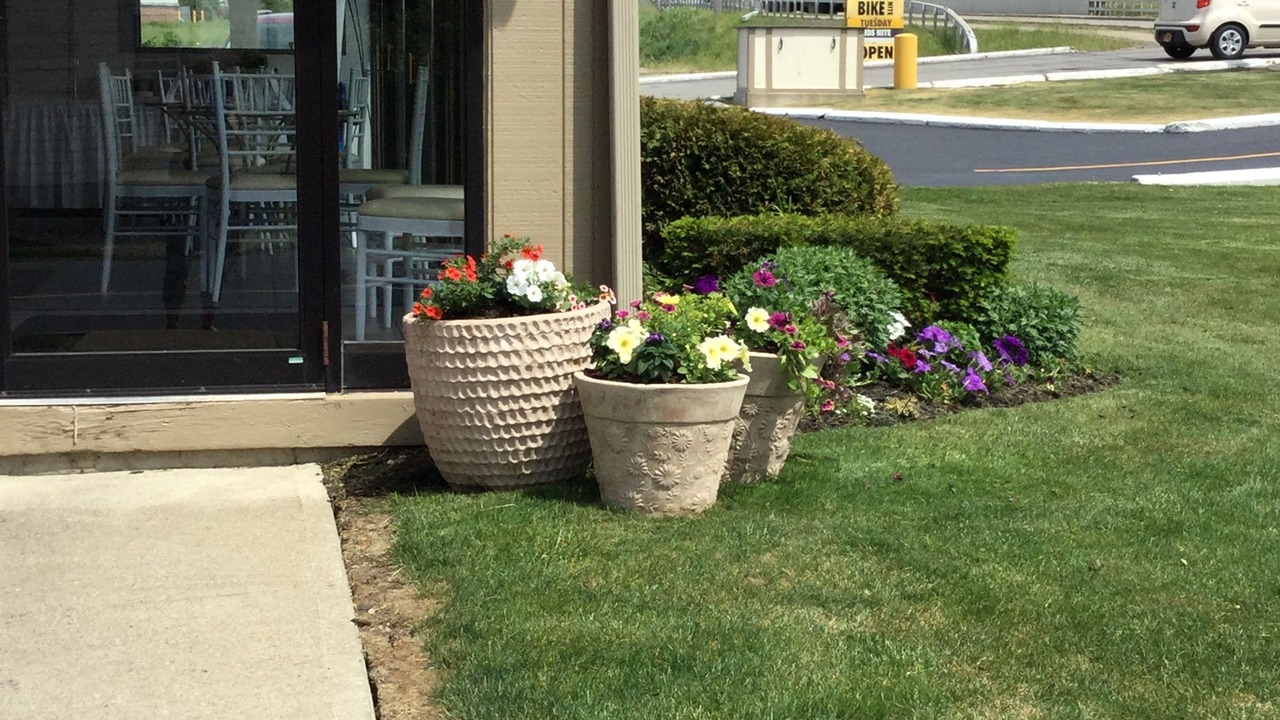 Photo of Outdoor in Blasdell