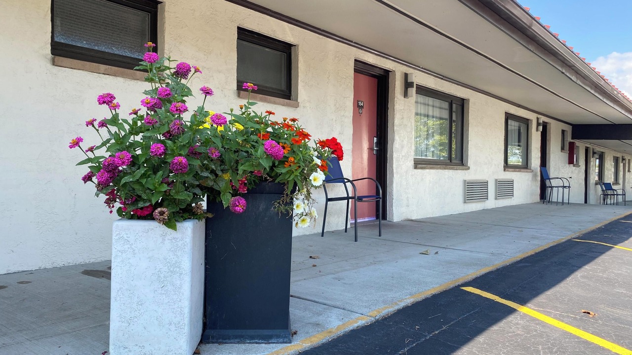 Photo of Outdoor in Blasdell