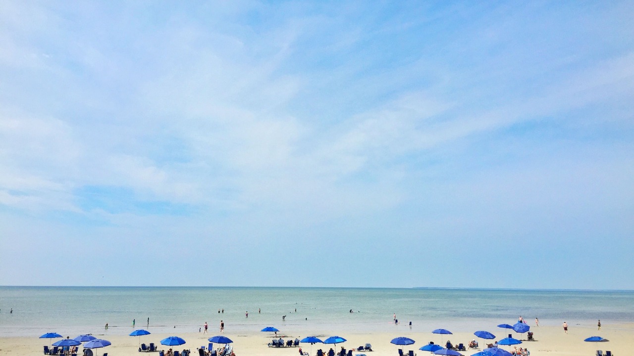 Photo of Others in Brewster