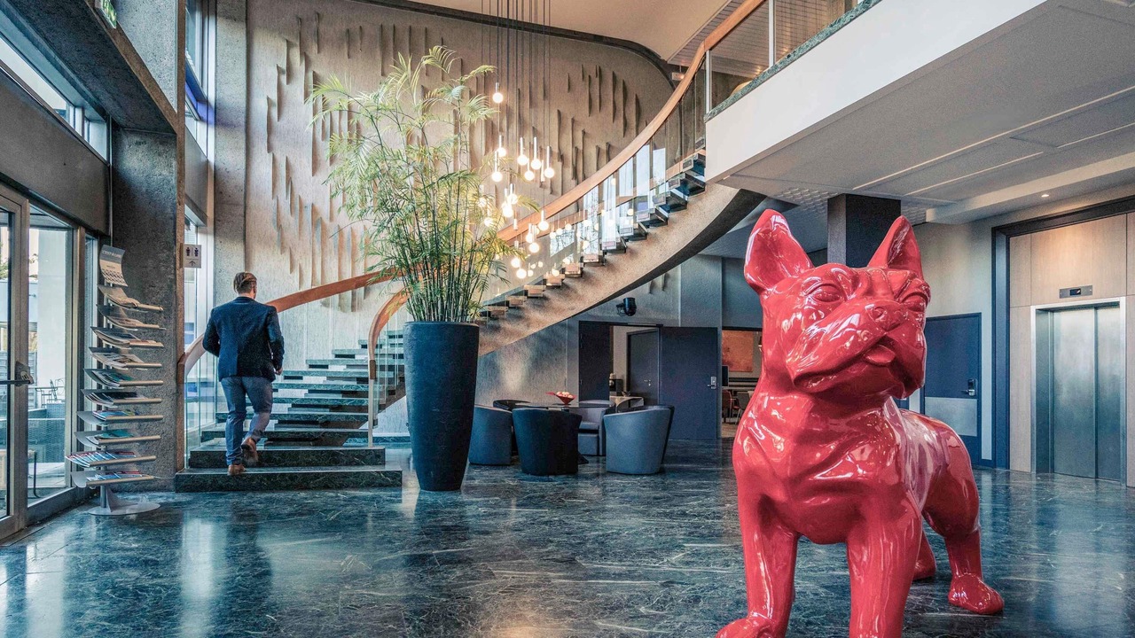 Photo of Outdoor in Mulhouse