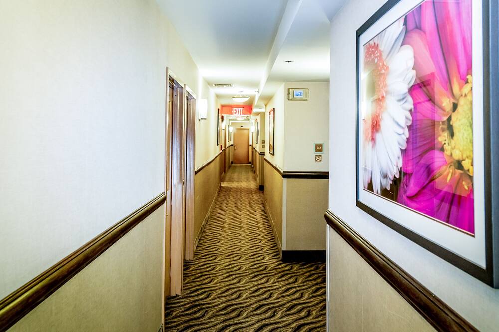 Photo of Others in Queens