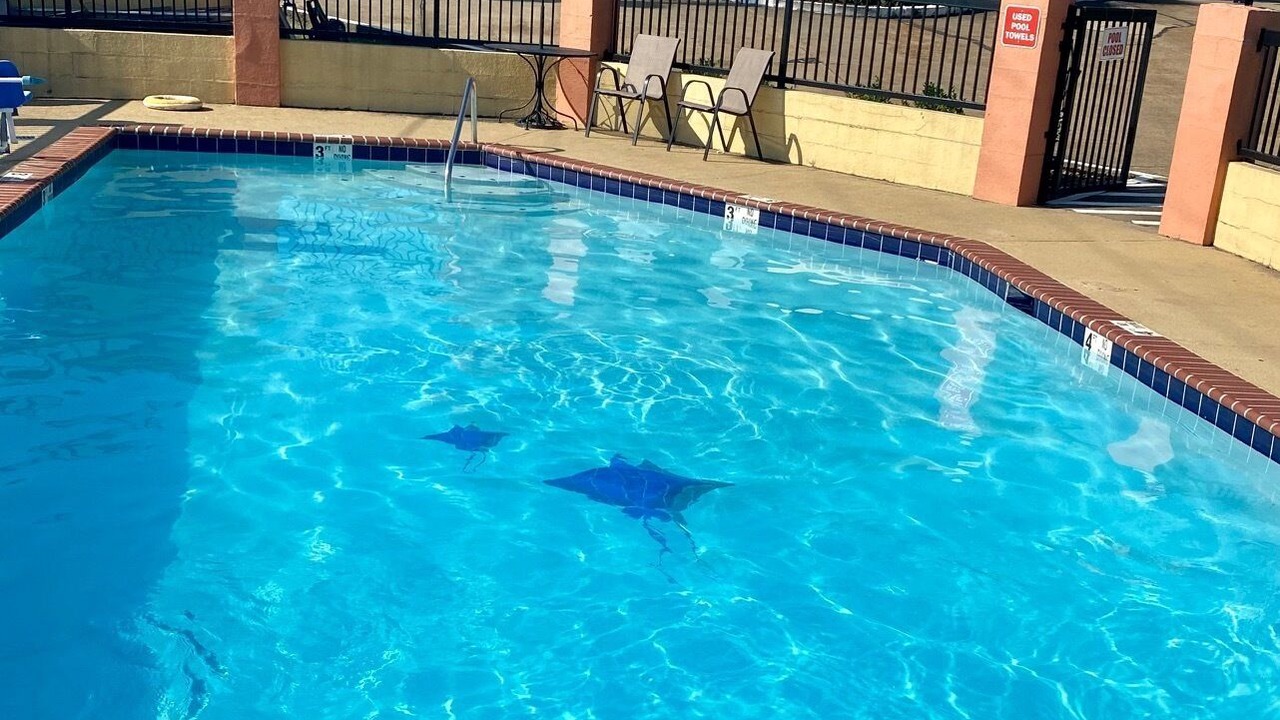 Photo of Outdoor in Hernando