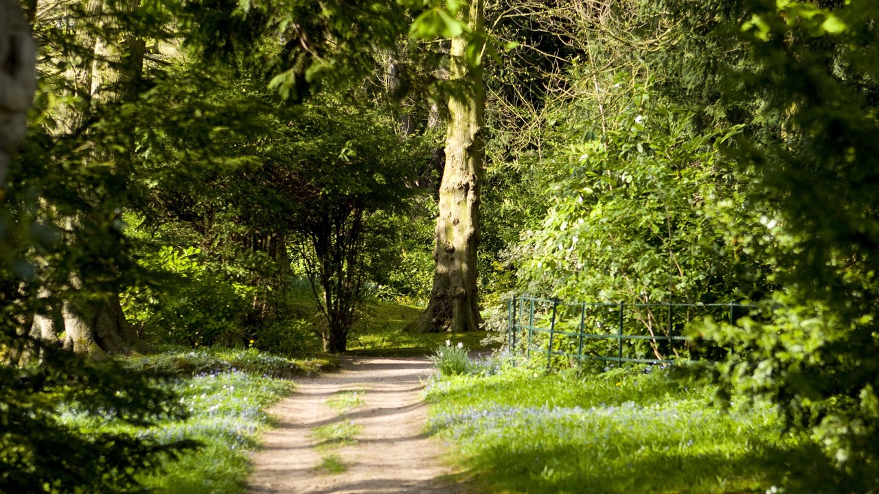 Photo of Others in Sutton Coldfield