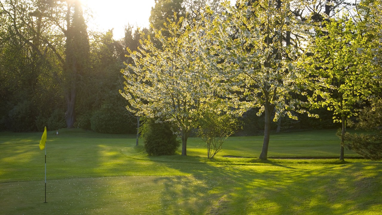 Photo of Others in Sutton Coldfield