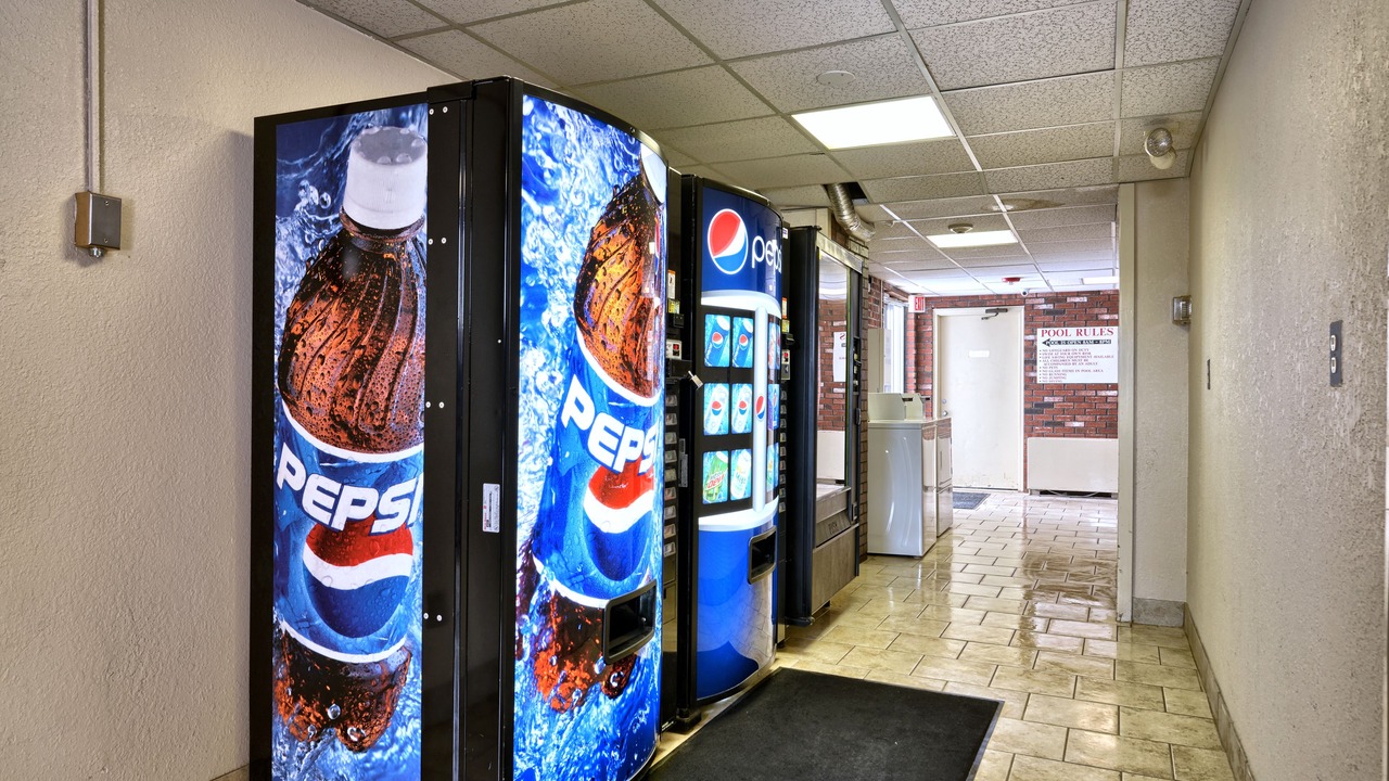 Photo of Others in Bangor