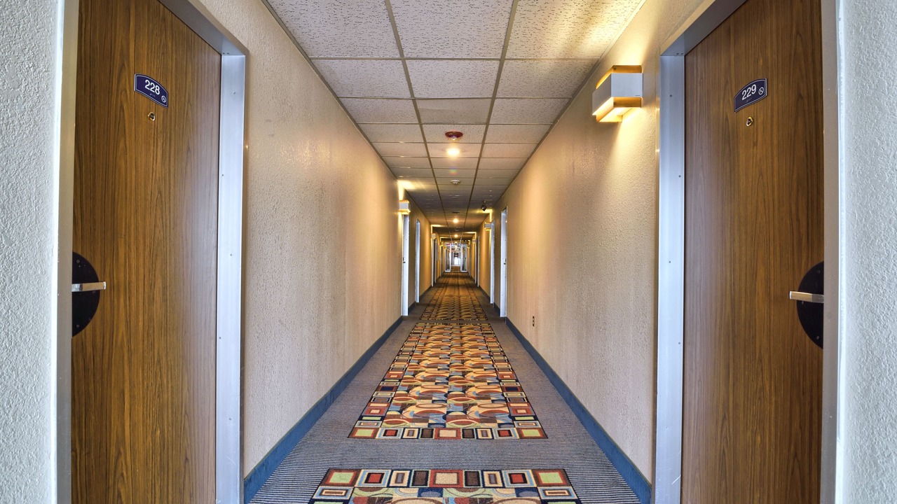 Photo of Others in Bangor