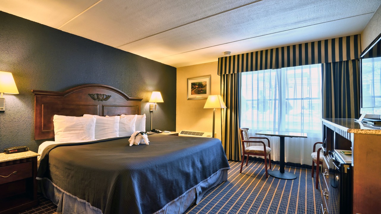 Photo of Others in Bangor