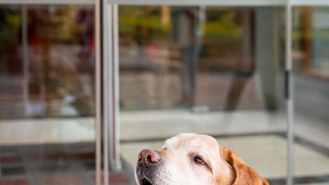 Photo of Others in Cognac