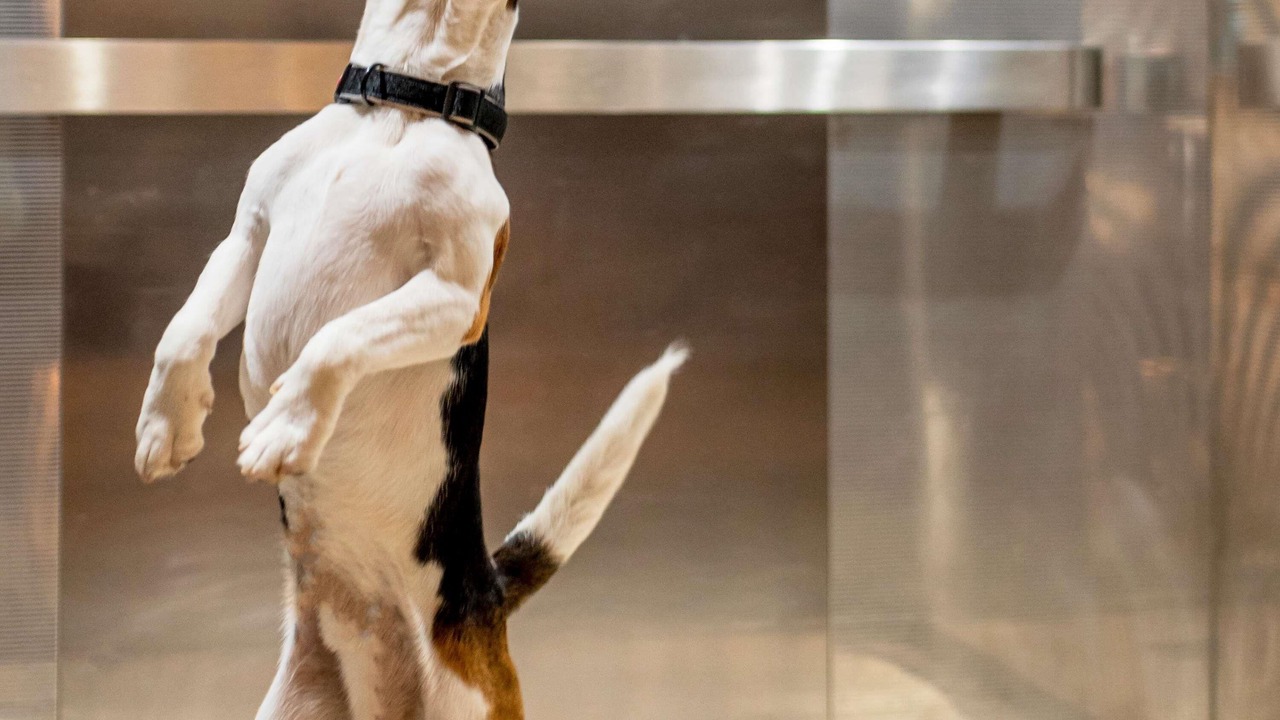 Photo of Others in Cognac