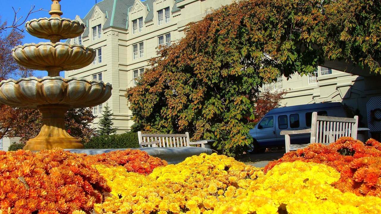 Photo of Outdoor in Pearl River