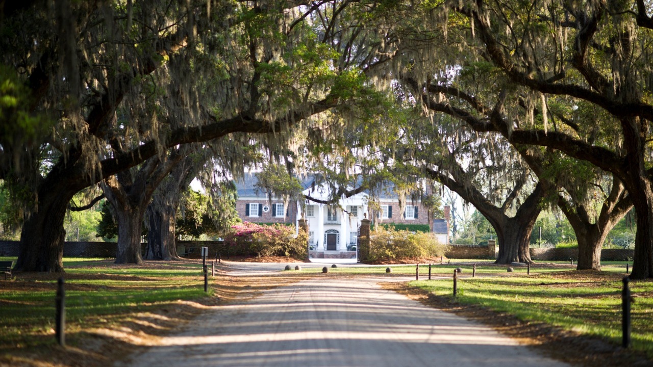 Photo of Others in Charleston
