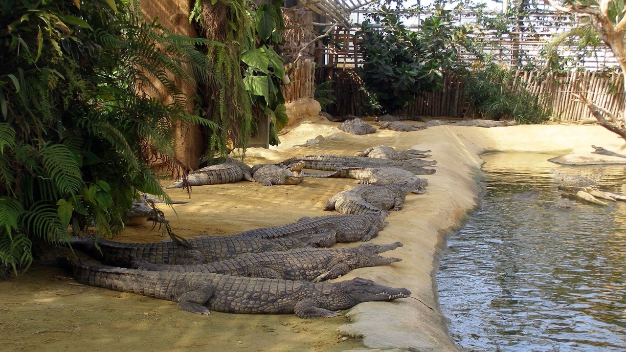 Photo of Outdoor in Valence
