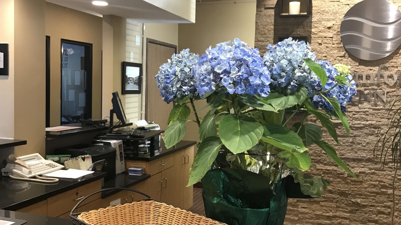 Photo of Others in Ellsworth