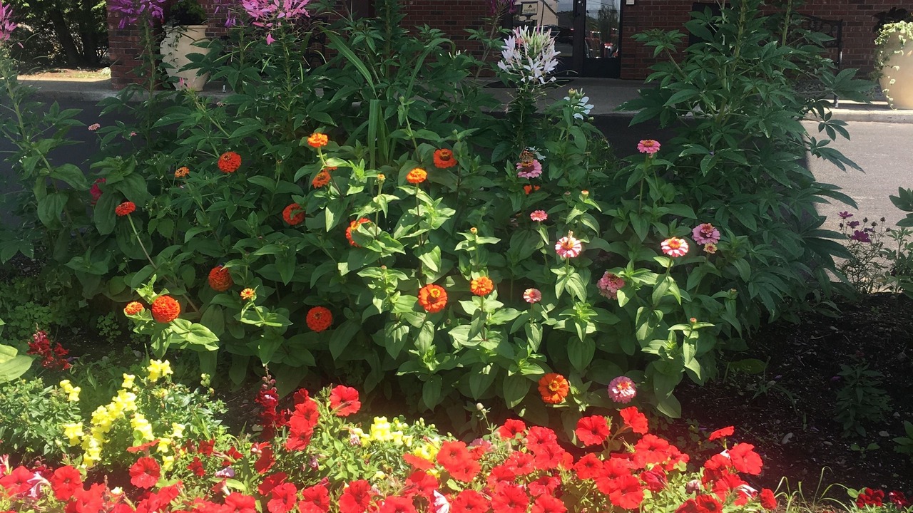 Photo of Outdoor in Ellsworth