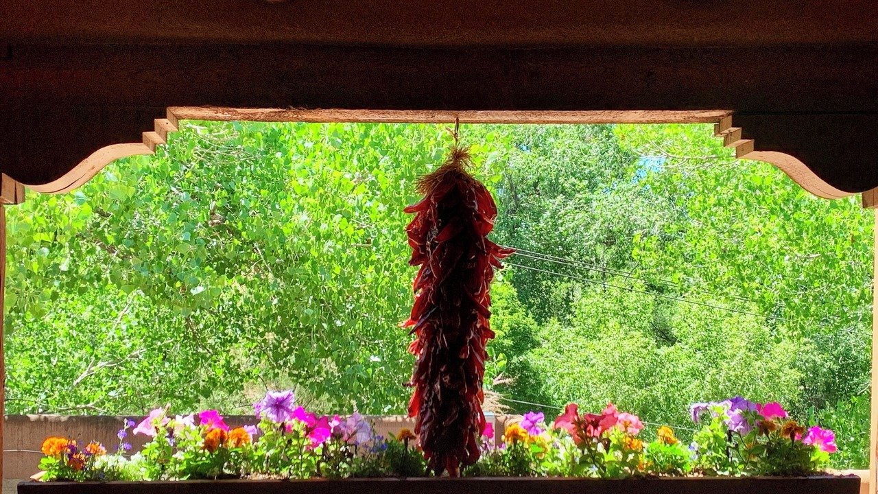 Photo of Patio Balcony in Historic Eastside