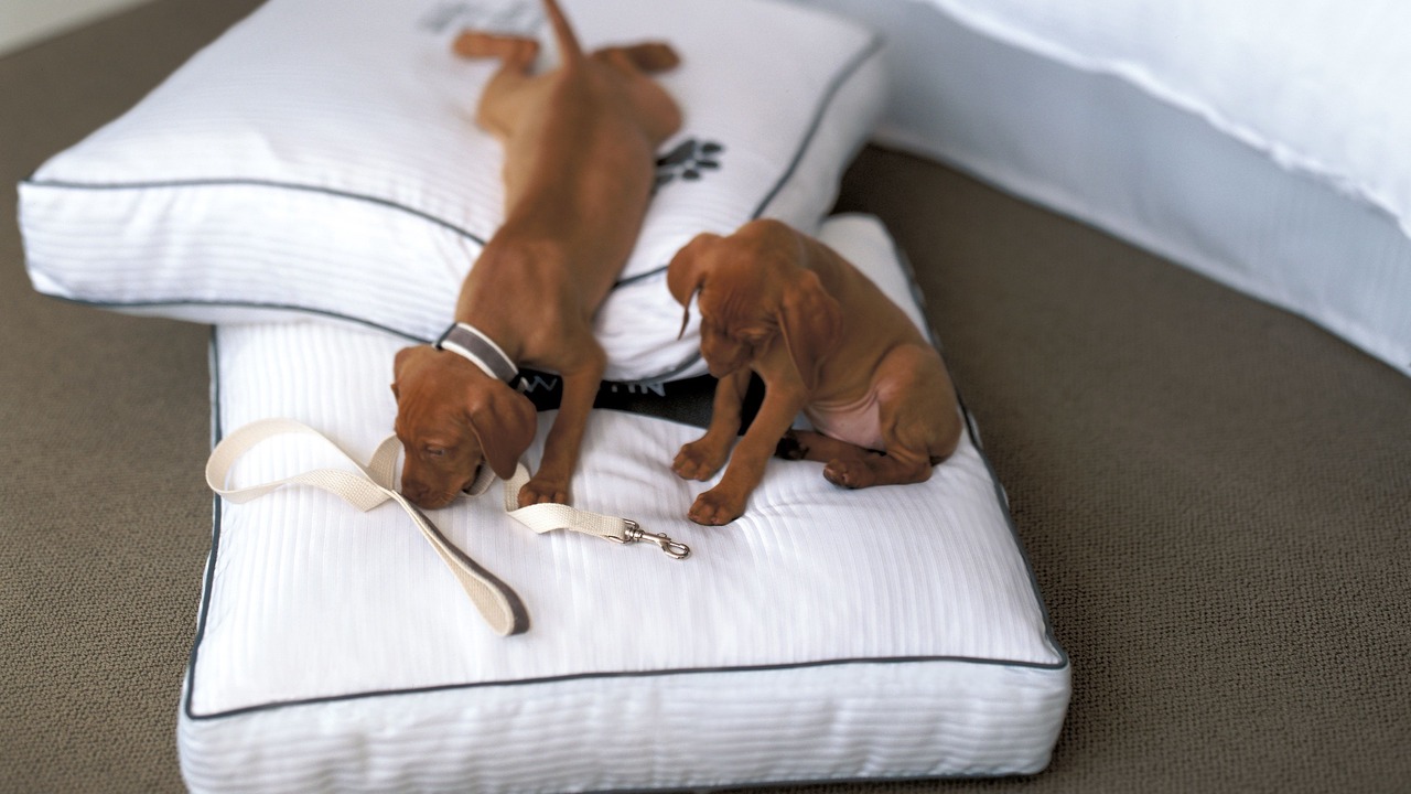 Photo of Others in Mount Laurel