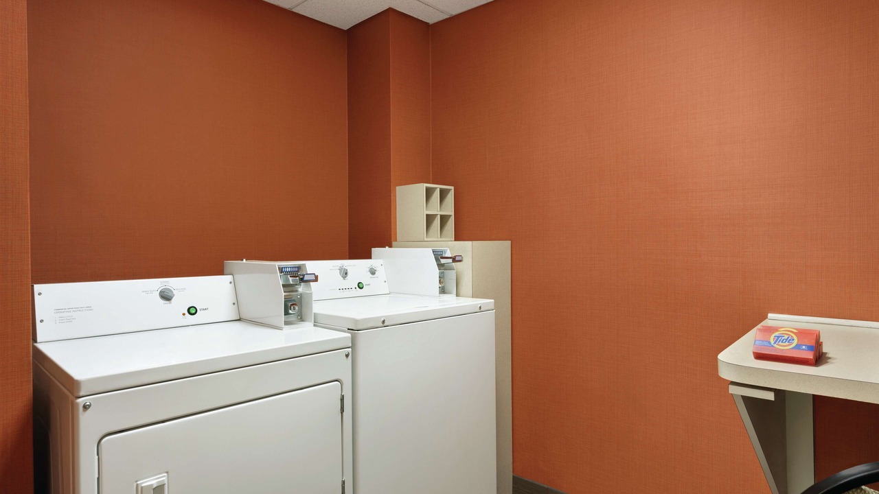 Photo of Others in Stone Mountain