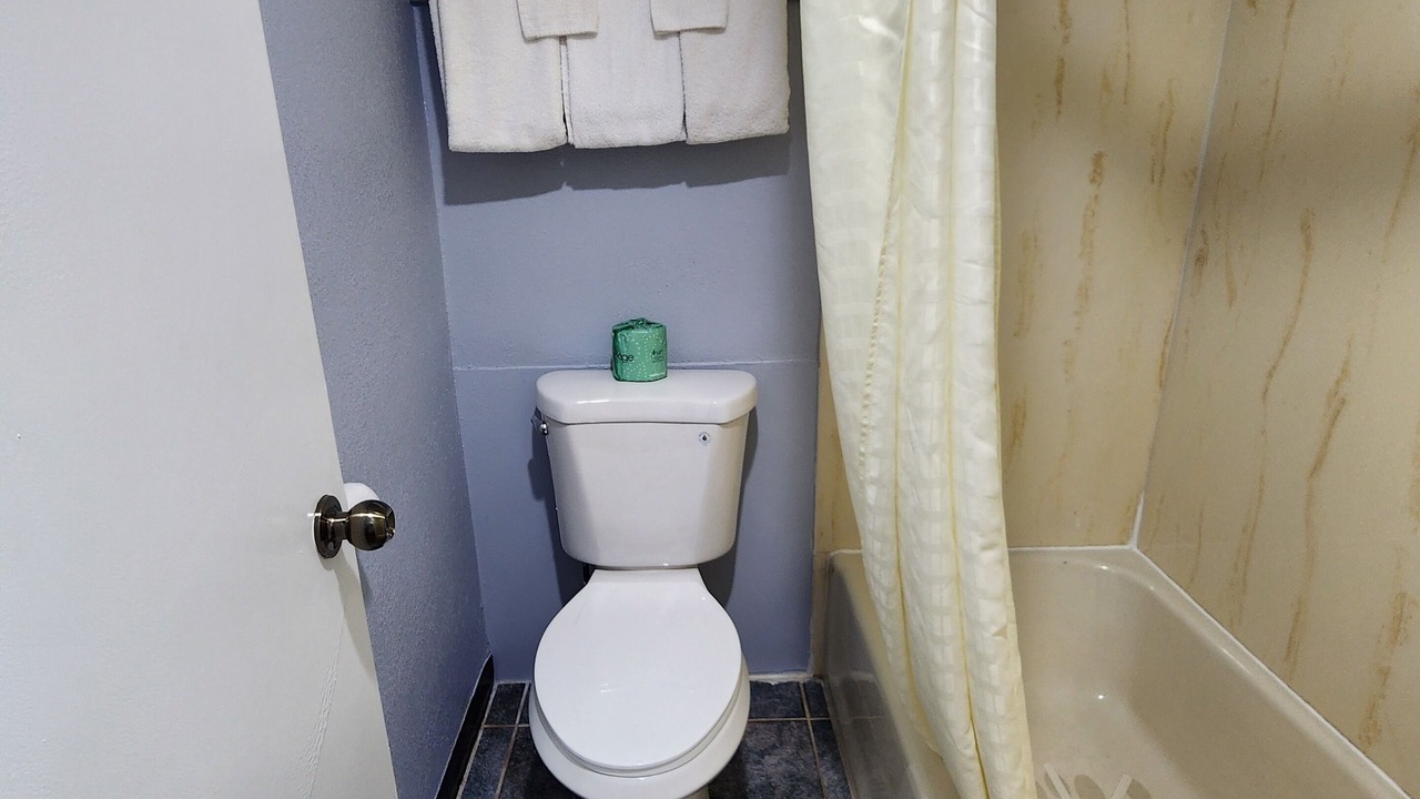 Photo of Others in Carthage