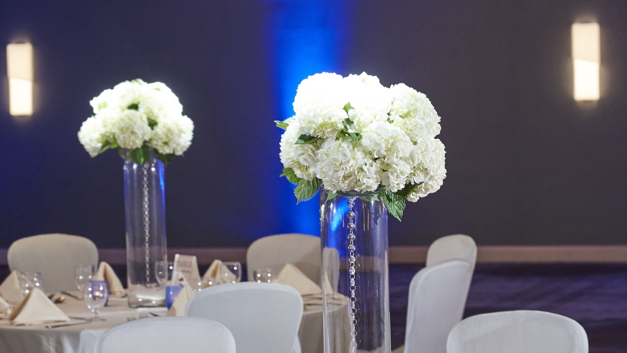 Photo of Others in Princeton