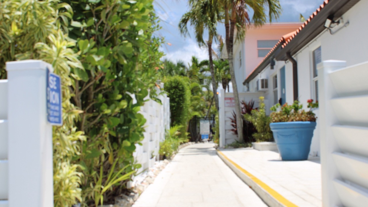 Photo of Others in Siesta Key Village