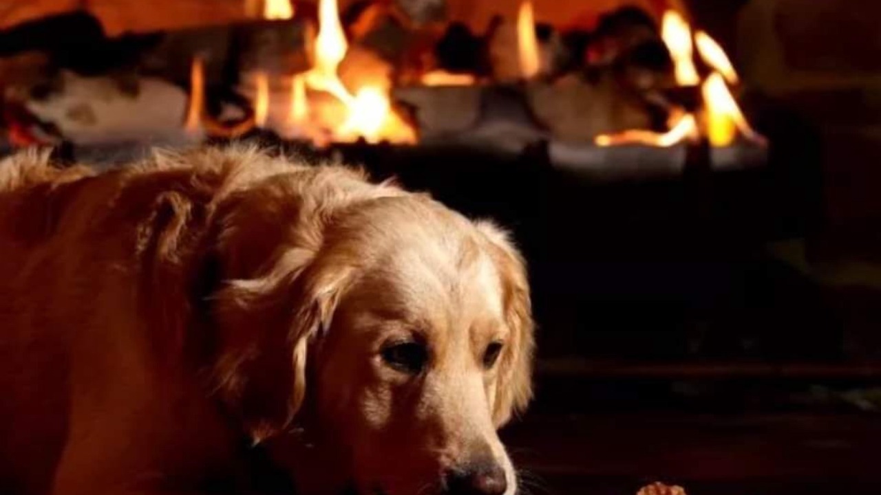 Photo of Bedroom in Allensford