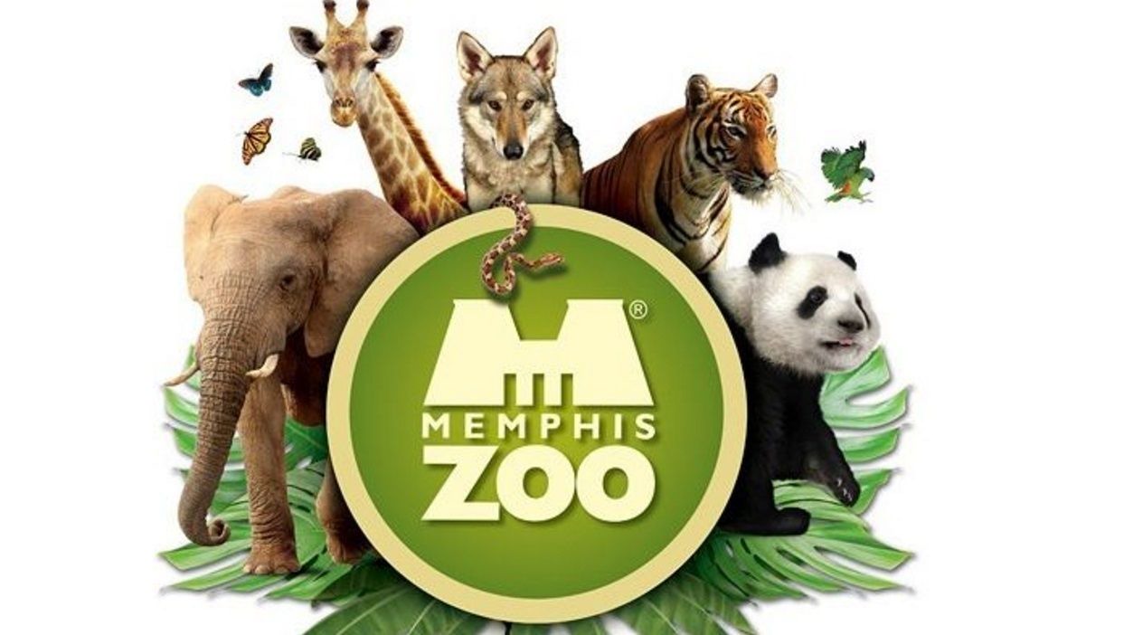 Photo of Others in Pinch District