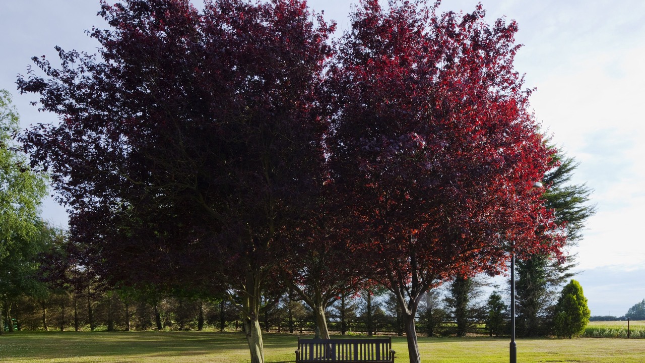 Photo of Outdoor in Ipswich