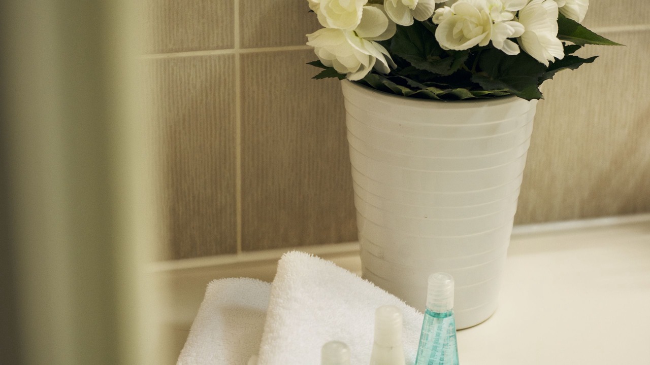 Photo of Bathroom in Lugano City-Centre