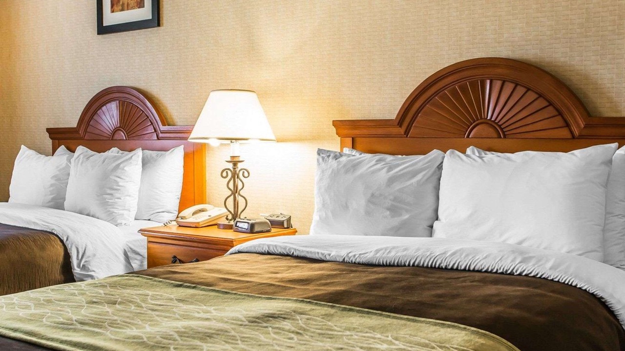 Photo of Others in Sidney