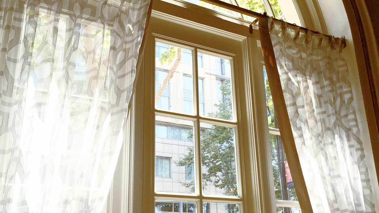 Photo of Others in Downtown San Jose