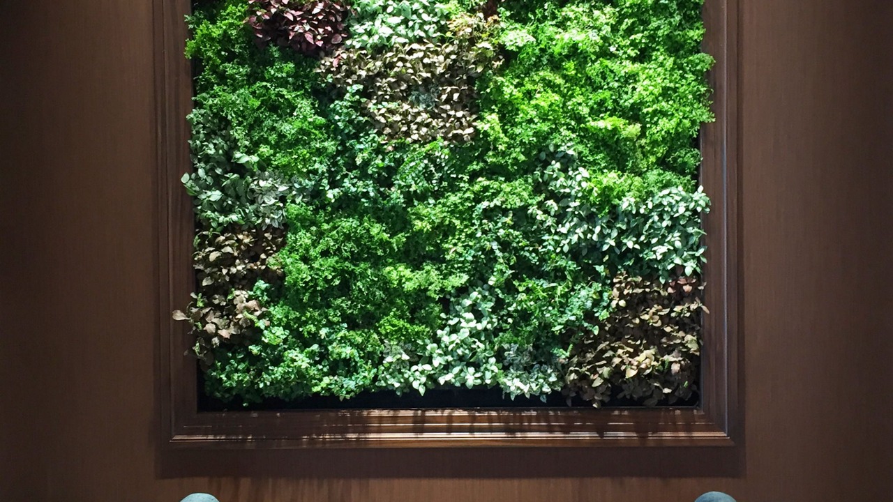 Photo of Others in Downtown San Jose