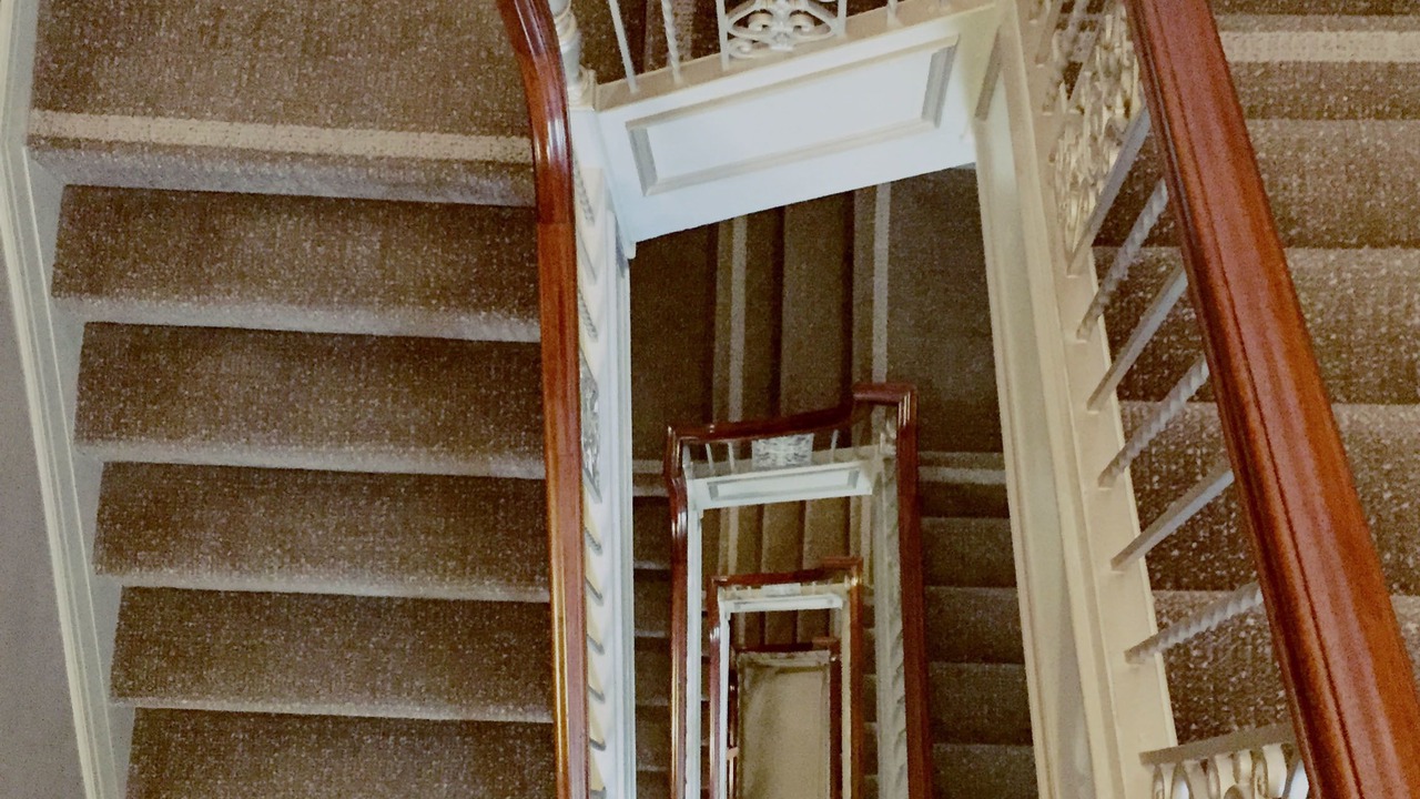 Photo of Others in Downtown San Jose