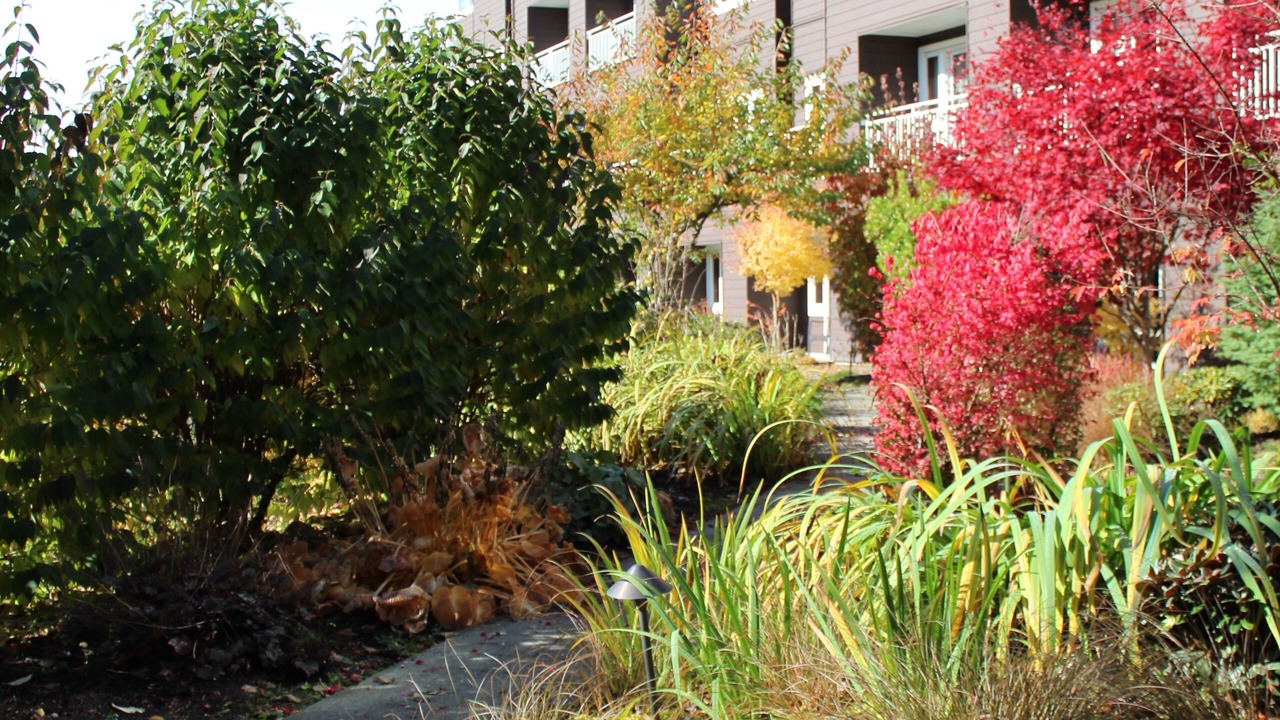 Photo of Outdoor in Snoqualmie