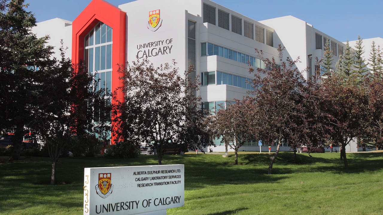 Photo of Others in Banff Trail