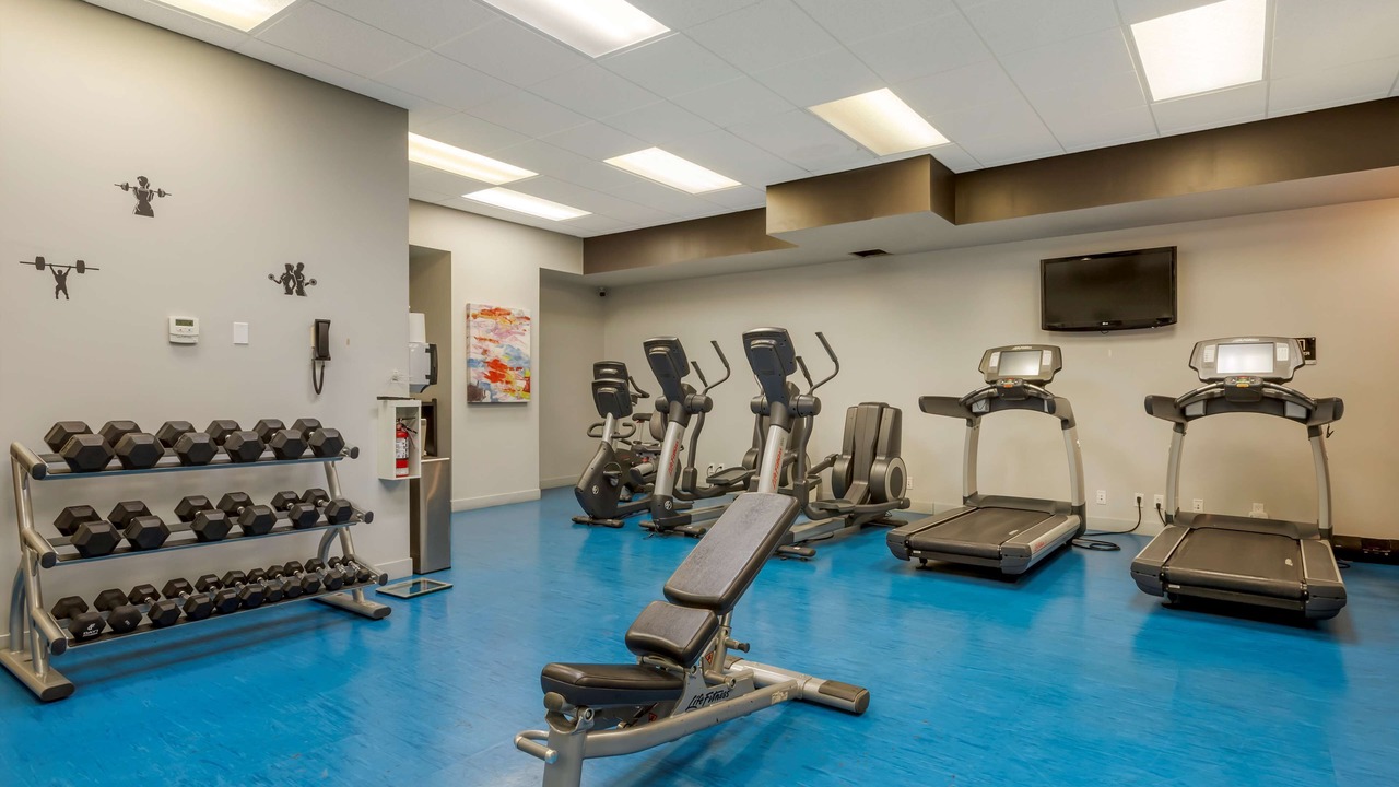 Photo of Others in Banff Trail