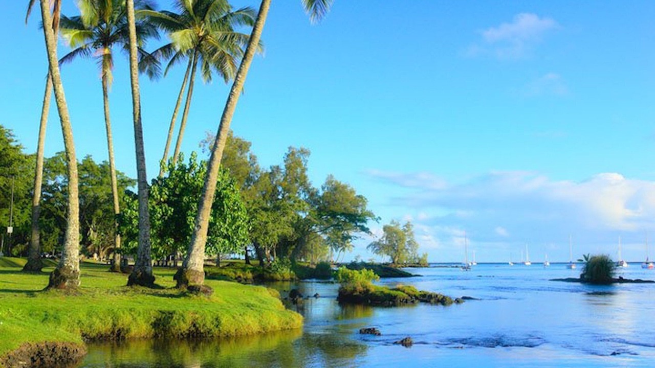 Photo of Others in Hilo