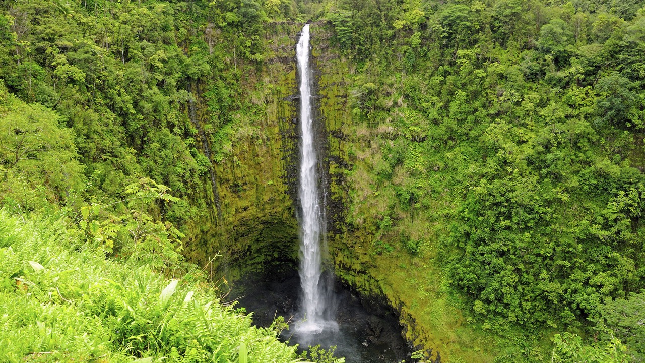 Photo of Outdoor in Hilo