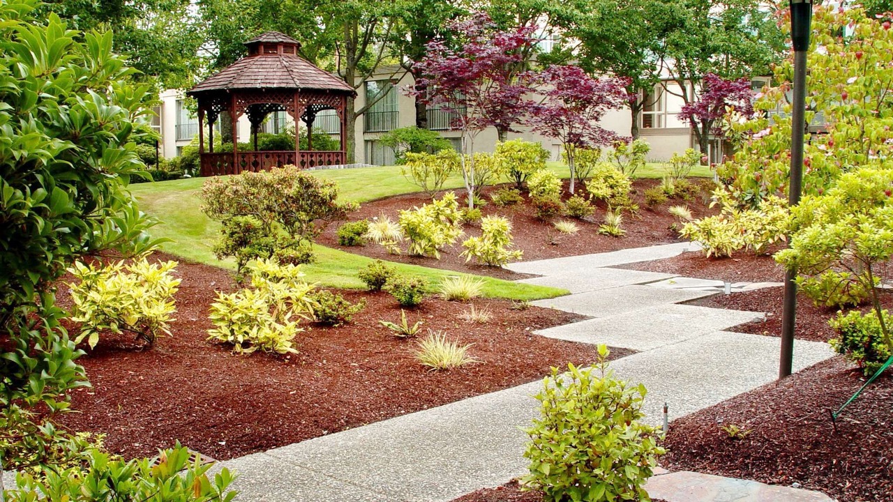 Photo of Outdoor in SeaTac