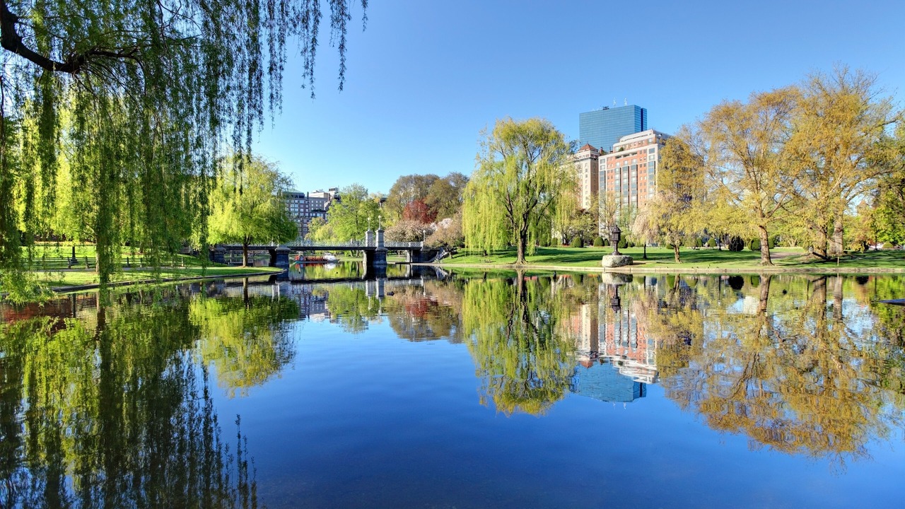 Photo of Outdoor in Back Bay East
