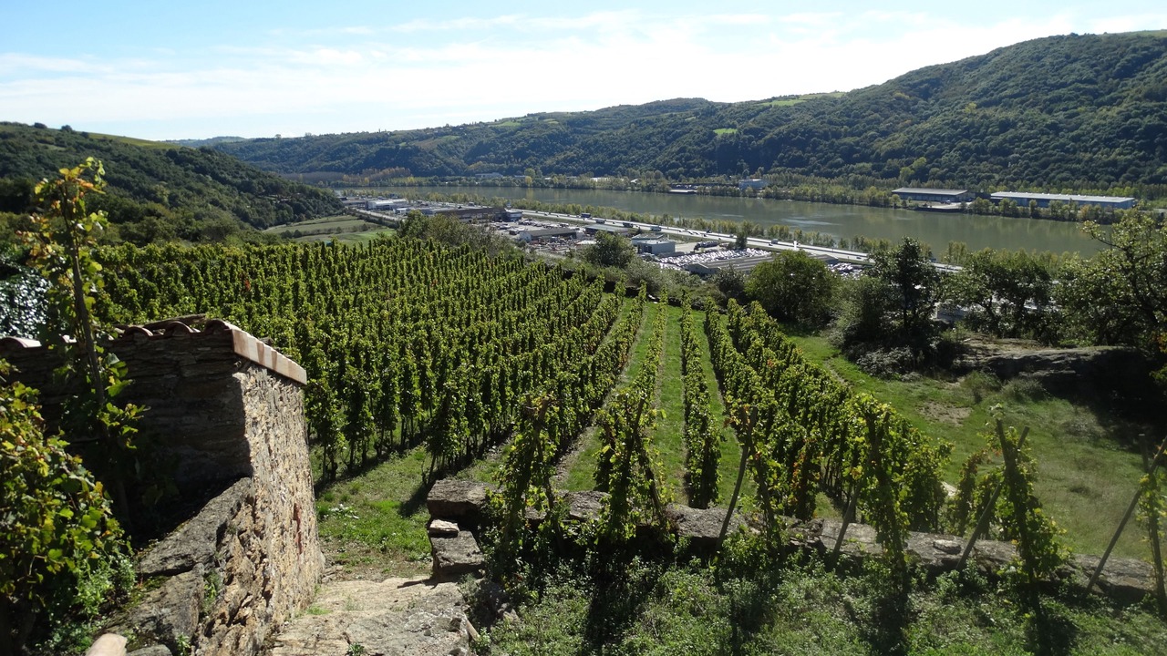 Photo of Outdoor in Chasse-sur-Rhone