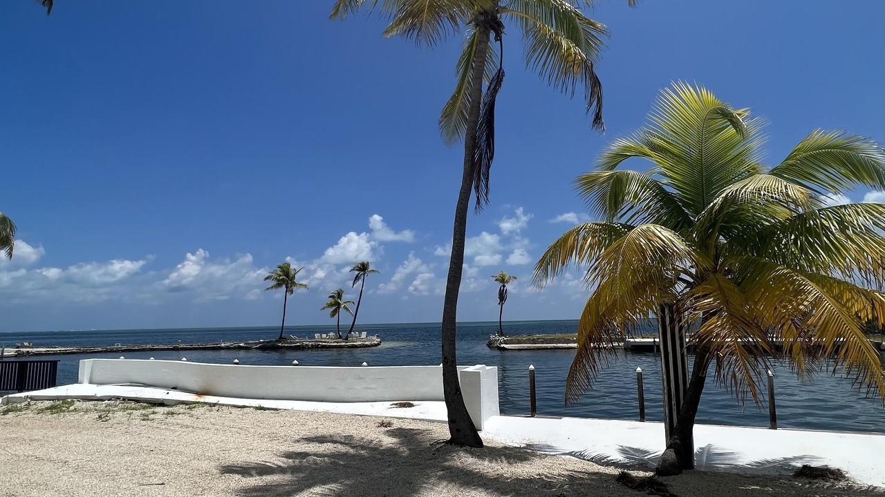 Photo of Others in Islamorada