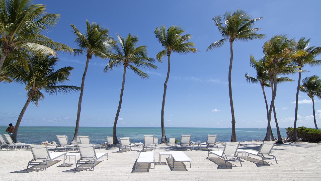Photo of Others in Islamorada