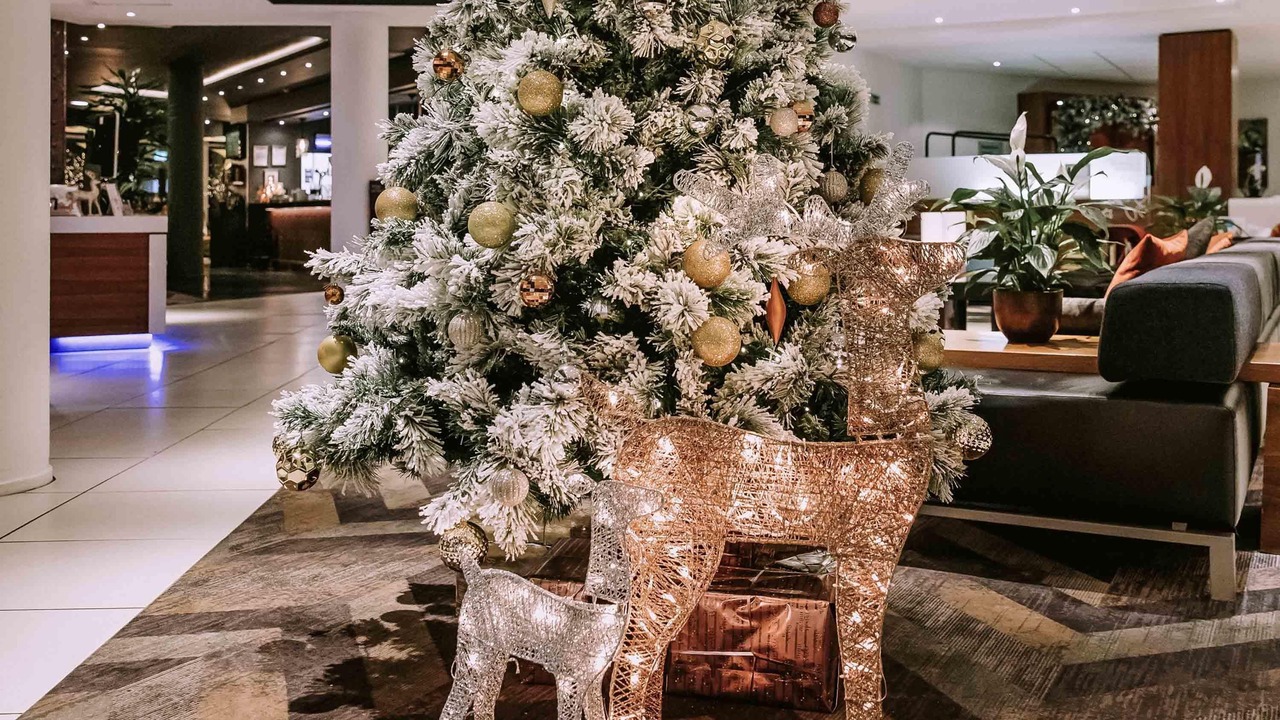 Photo of Others in Sheffield City Centre