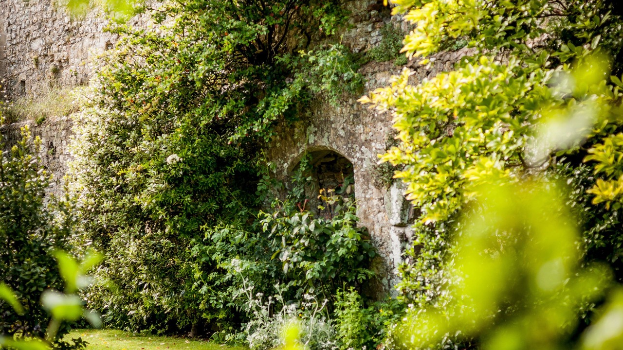 Photo of Outdoor in Amberley