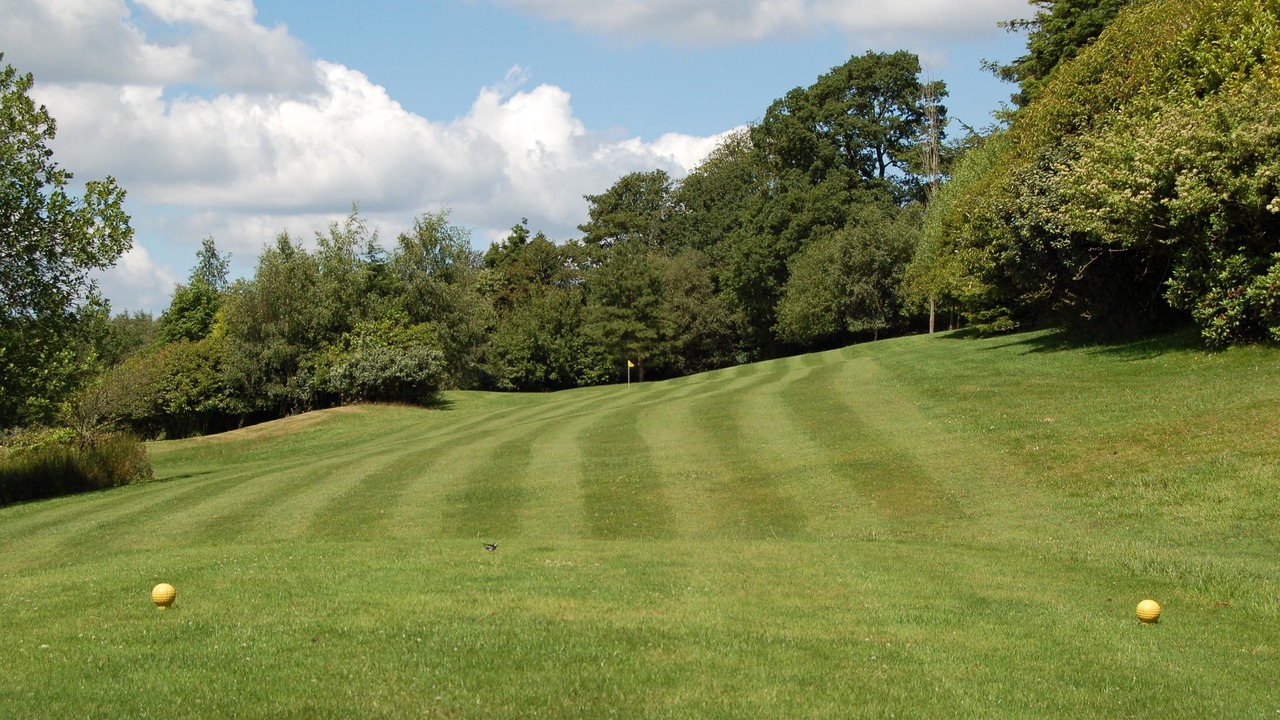 Photo of Others in Wych Cross