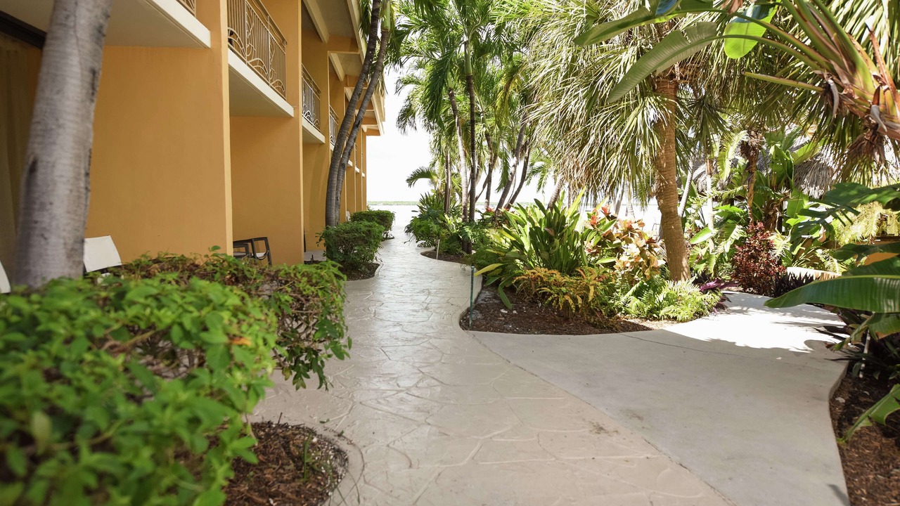 Photo of Outdoor in Key Largo
