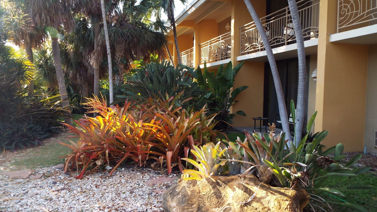 Photo of Outdoor in Key Largo