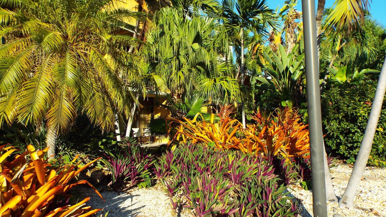 Photo of Outdoor in Key Largo